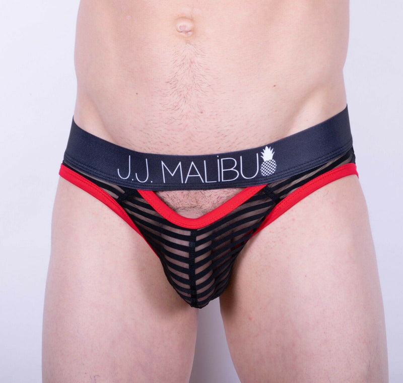 JJ MALIBU Sheer Stripped Gotham Briefs 2