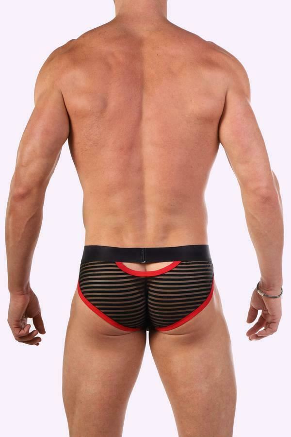 JJ MALIBU Sheer Stripped Gotham Briefs 2