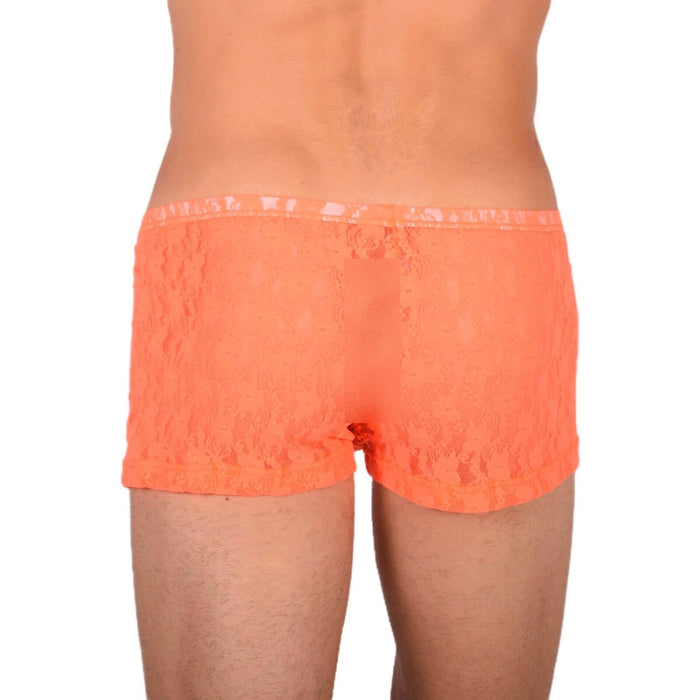 XS/S SMU Tanning Walking around C-Thru Orange Mini Boxer MX19 34037