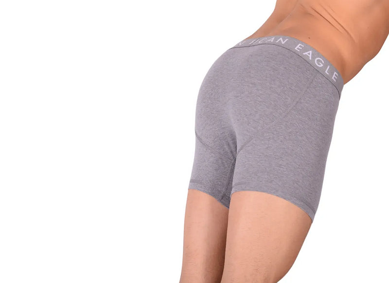 Medium Long Boxer American Eagle Fly Front Boxer Brief Grey AE1