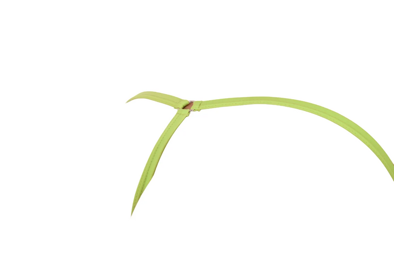 S/M MOB Male basics G-String Lime Revealing Front 4