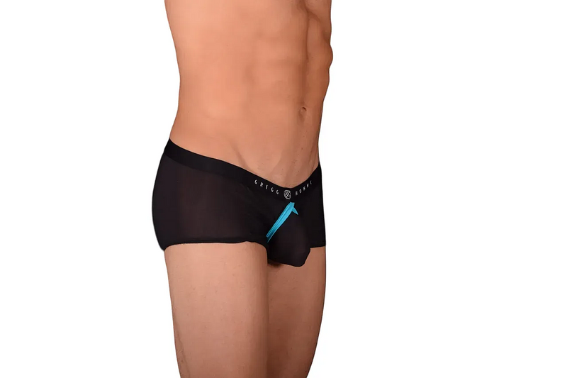 Small Gregg Homme Fake-It Enhancer Mesh Hipster Boxer Black Aqua 122005 C22 3031