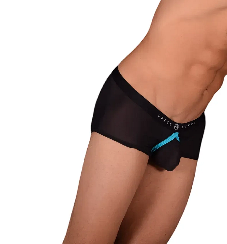 Small Gregg Homme Fake-It Enhancer Mesh Hipster Boxer Black Aqua 122005 C22 3031