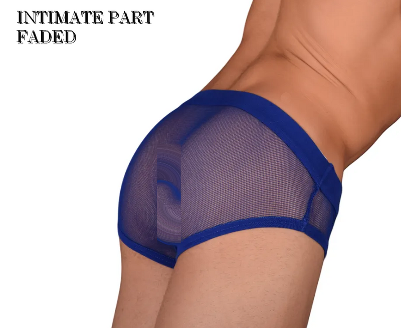 XS  Modus Vivendi Mesh Royal Brief 154B
