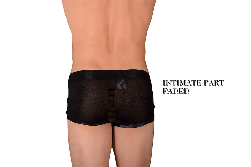 Small Modus Vivendi Sheer Black Boxer 154B