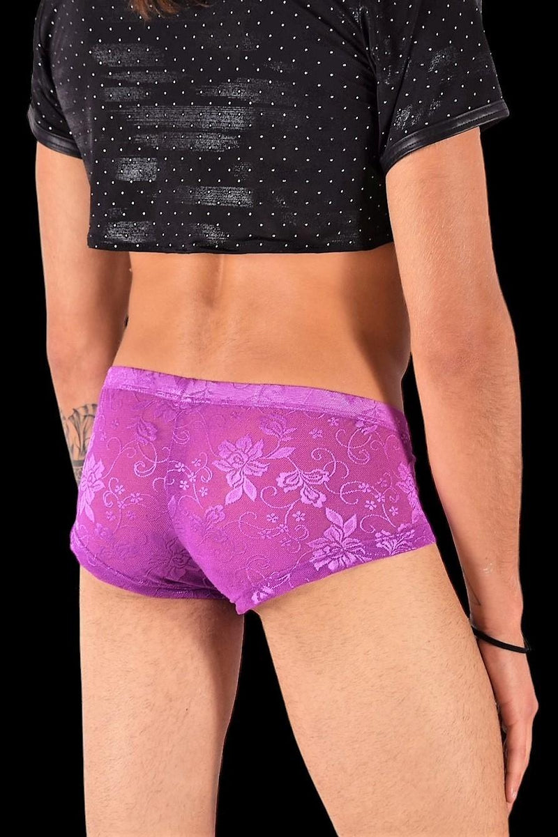 SMU Boxer Aristocrat Lace Mini Hipster Sheer Purple 100705 H53