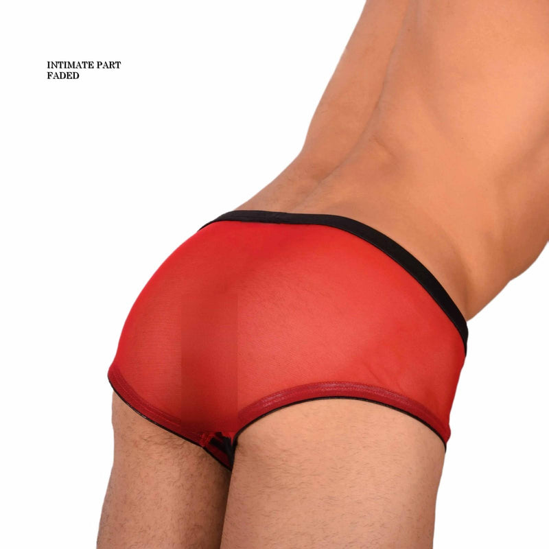 Medium Gregg Homme Red Sheer brief and Black front deco 3044 C22