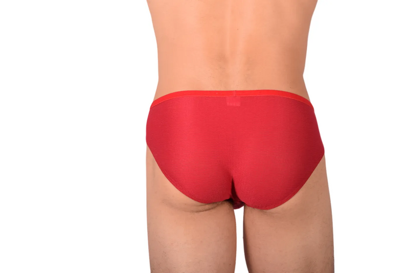 Small Gregg Homme Collectable Brief 100131 MX22