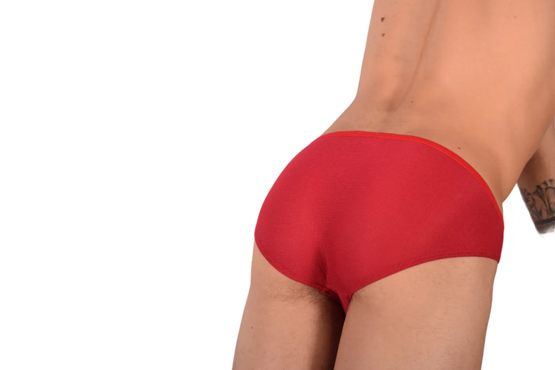 Small Gregg Homme Collectable Brief 100131 MX22