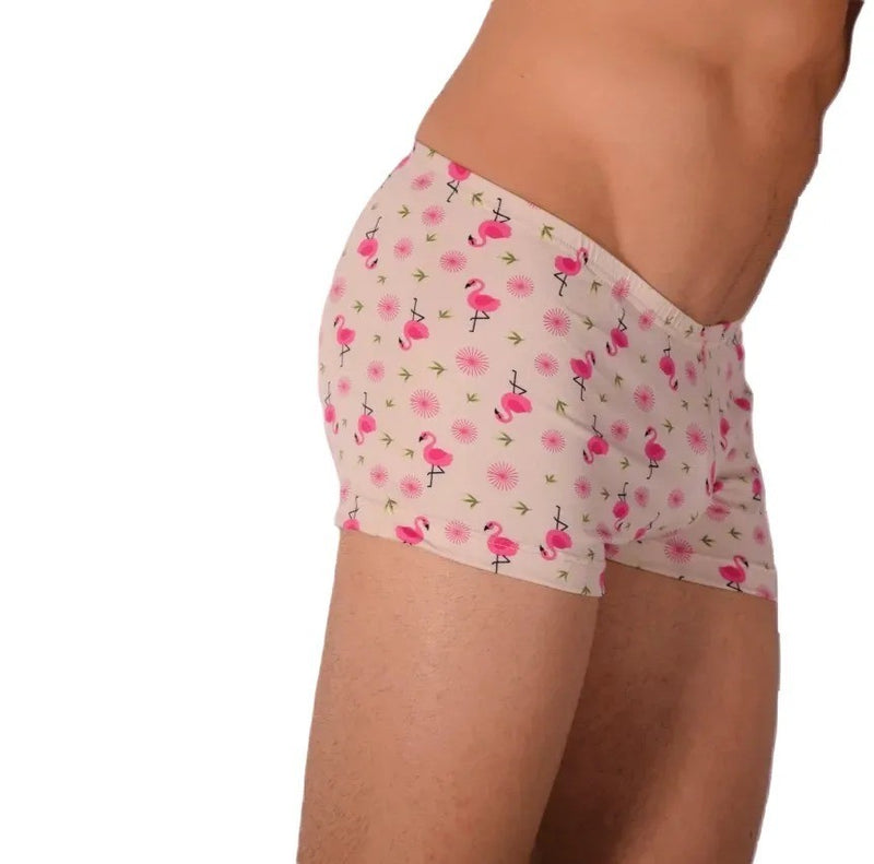 XS Boxer SMU  Hipster Flamingo 43105 MX12