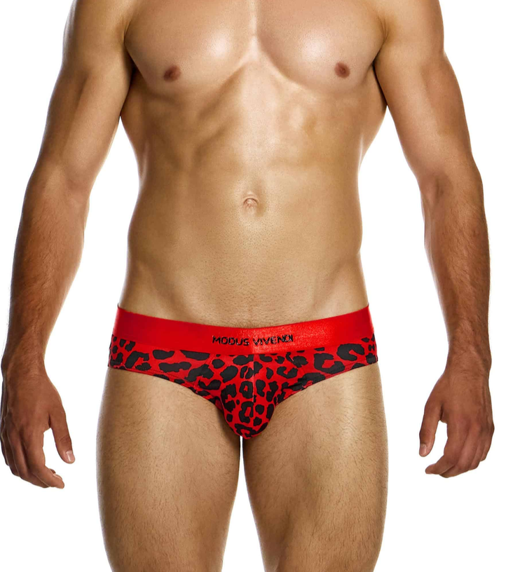 MODUS VIVENDI Leopard Classic Briefs Soft Velvet Touch Fabric in Red 15412 79A