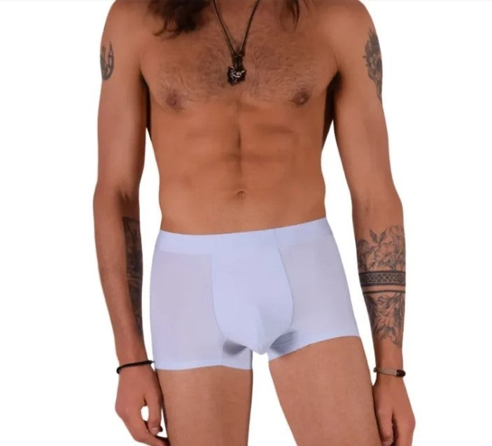 SMU ICY Soft Boxer Briefs Paneled Liquid Boxer in Sky Blue 105605 21