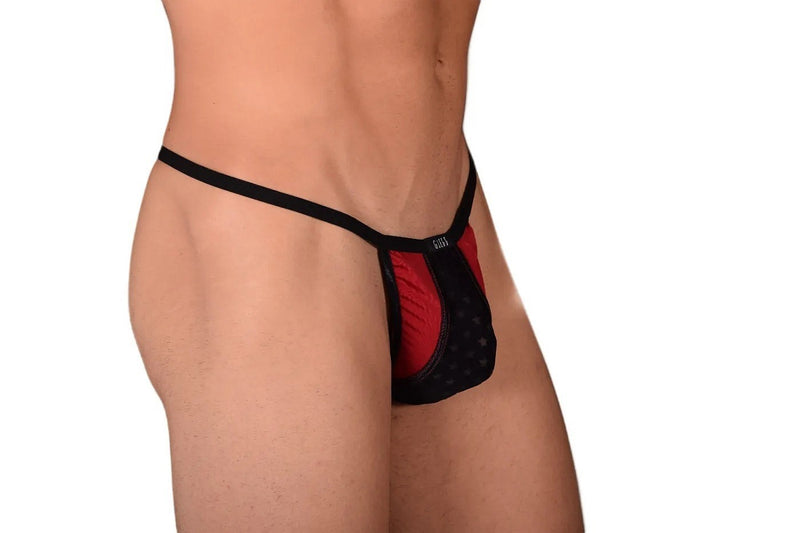 Large Gregg Homme Sky G-String 3058 C22