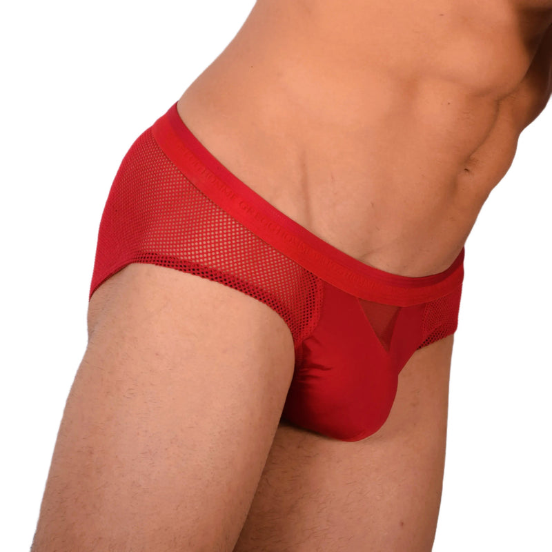SMALL 33875  Gregg Homme Red Brief MX17