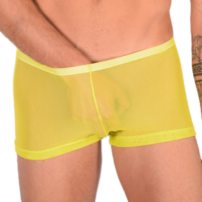 XXS/XS Mini Boxer C-Thru Yellow 33552 MX13