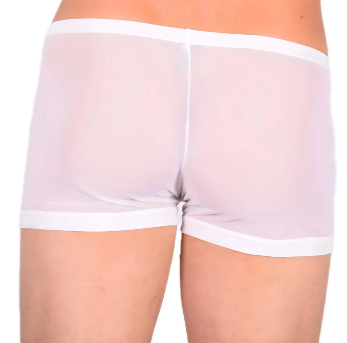 XXS/XS Mini Boxer C-Thru White 33555 MX13