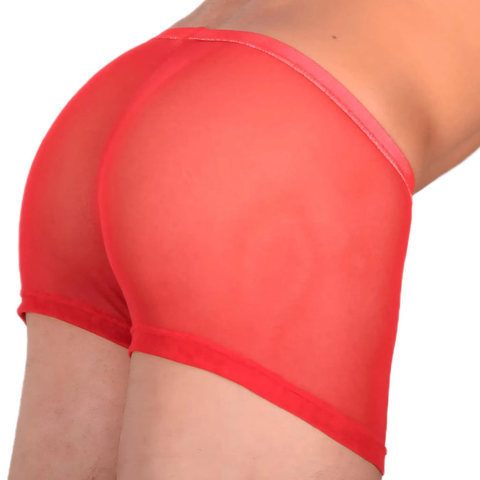 2XS/XS Mini Boxer C-Thru Red 33557 MX13