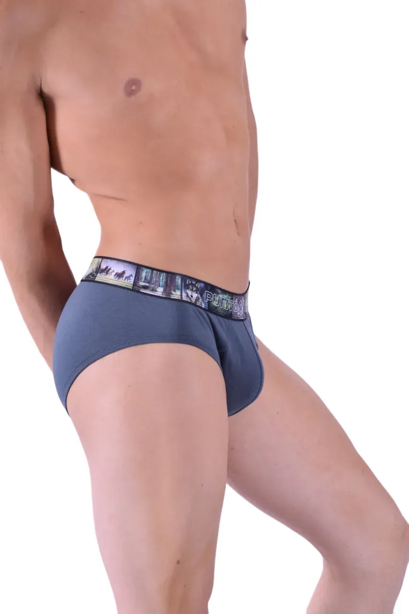 Punto Blanco Brief Land Forest Briefs Sustainable Cotton Gray 3434 15