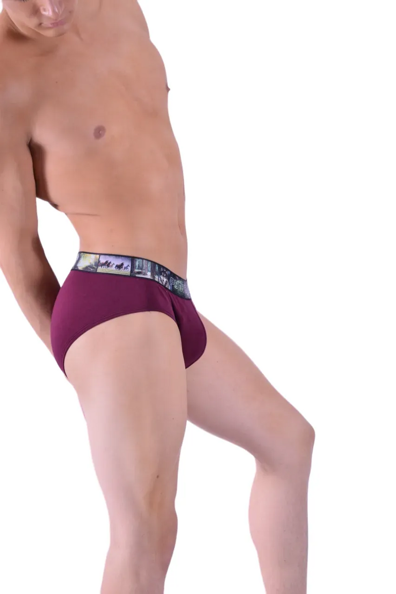 Punto Blanco Brief Land Forest Briefs Sustainable Cotton Red 3434 15