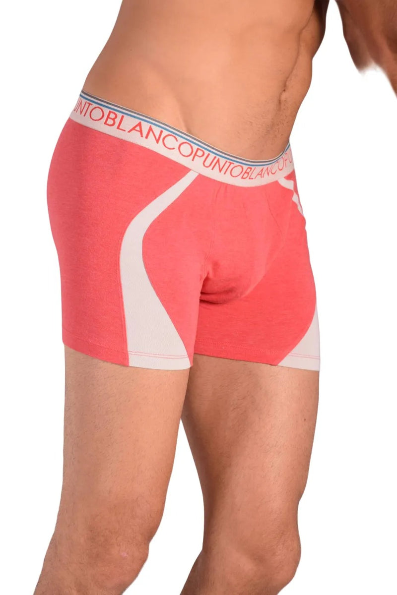 Small Cotton Boxer Punto Blanco 33079-884 16
