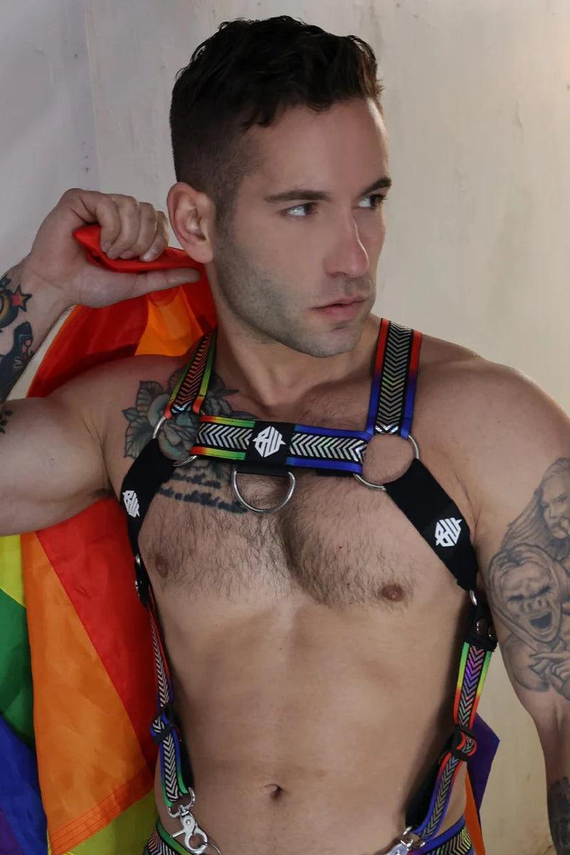BREEDWELL Pure Pride Bulldog Body-Harness Convertible Rainbow Holographic Foil 7