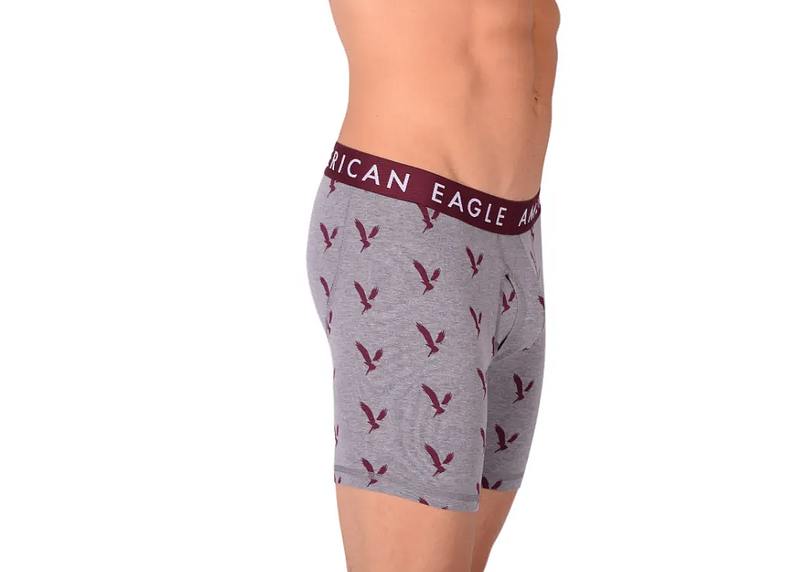American Eagle Grey Eagles Fly Front Boxer Brief AE1