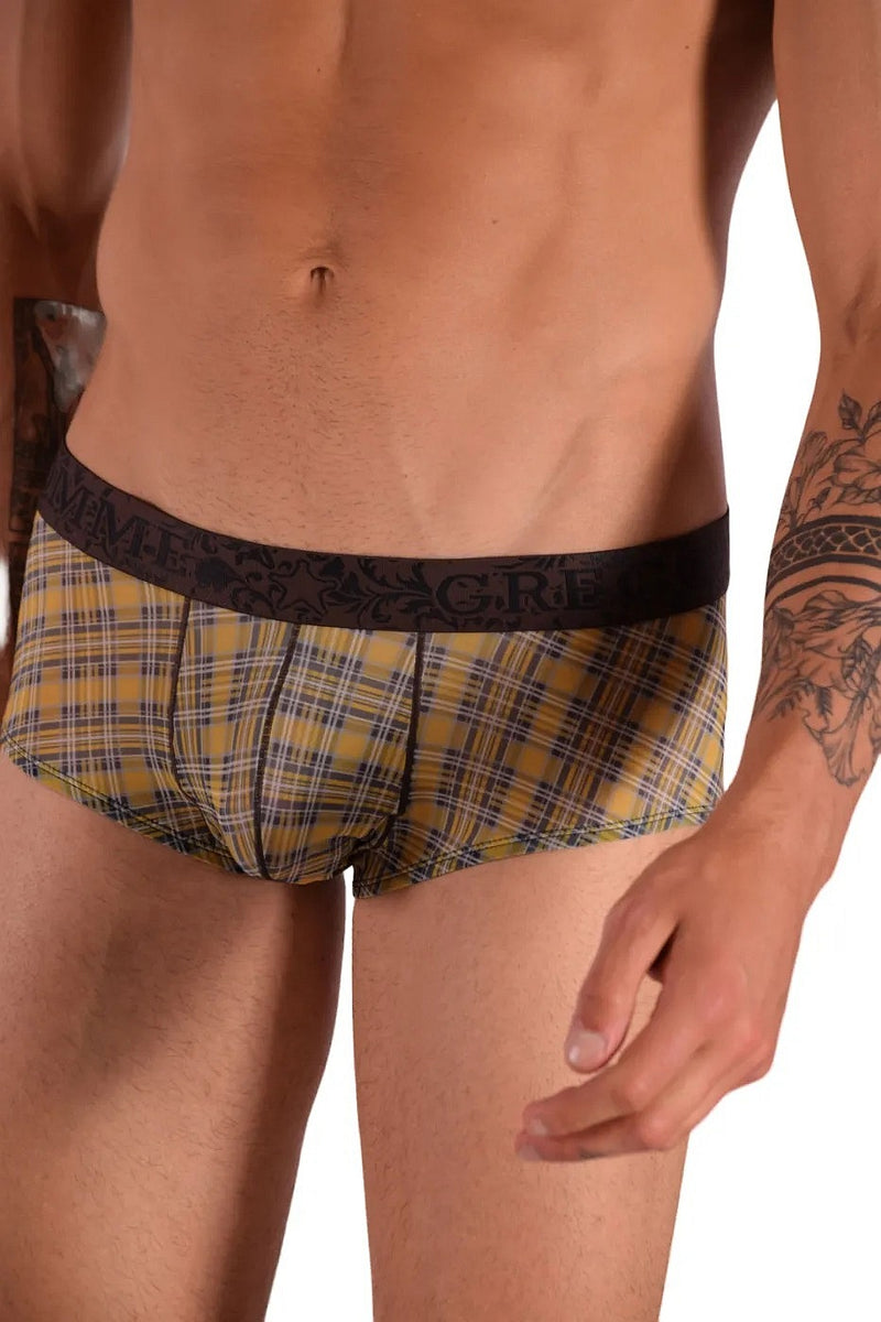 Gregg Homme Boxer Brief Rodeo Mens Sexy Boxer Yellow 112605 3