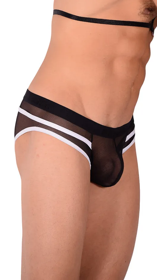 PIKANTE Harness HOT Briefs Low-Rise Stretch See-Through Brief Black 0495 1