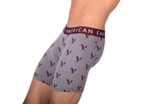 American Eagle Grey Eagles Fly Front Boxer Brief AE13