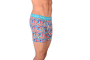 American Eagle Mushroom Print Fly Front Boxer Brief AE14