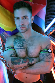 BREEDWELL Pure Pride Armbands Rainbow Holographic Foil Chevron 464