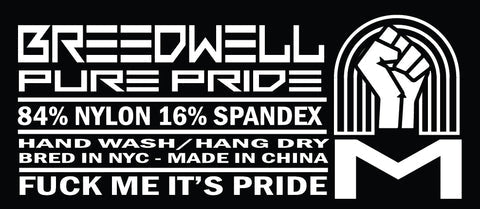 BREEDWELL Pure Pride Thongs Chevron Rainbow Holographic Foil Thong 468