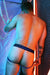 Jock BREEDWELL Dic*matized Jockstrap Peek - a - Boo in Blue 494