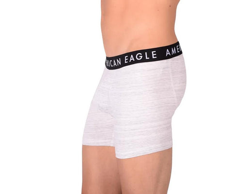 Large American Eagle Fly Front Long Boxer Brief AE11
