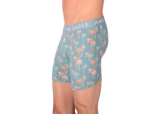 Medium Boxer American Eagle With Fly Front Palm Trees AE11