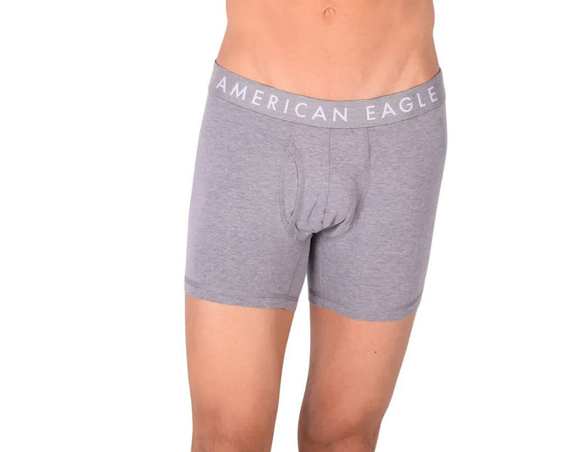 Medium Long Boxer American Eagle Fly Front Boxer Brief Grey AE14