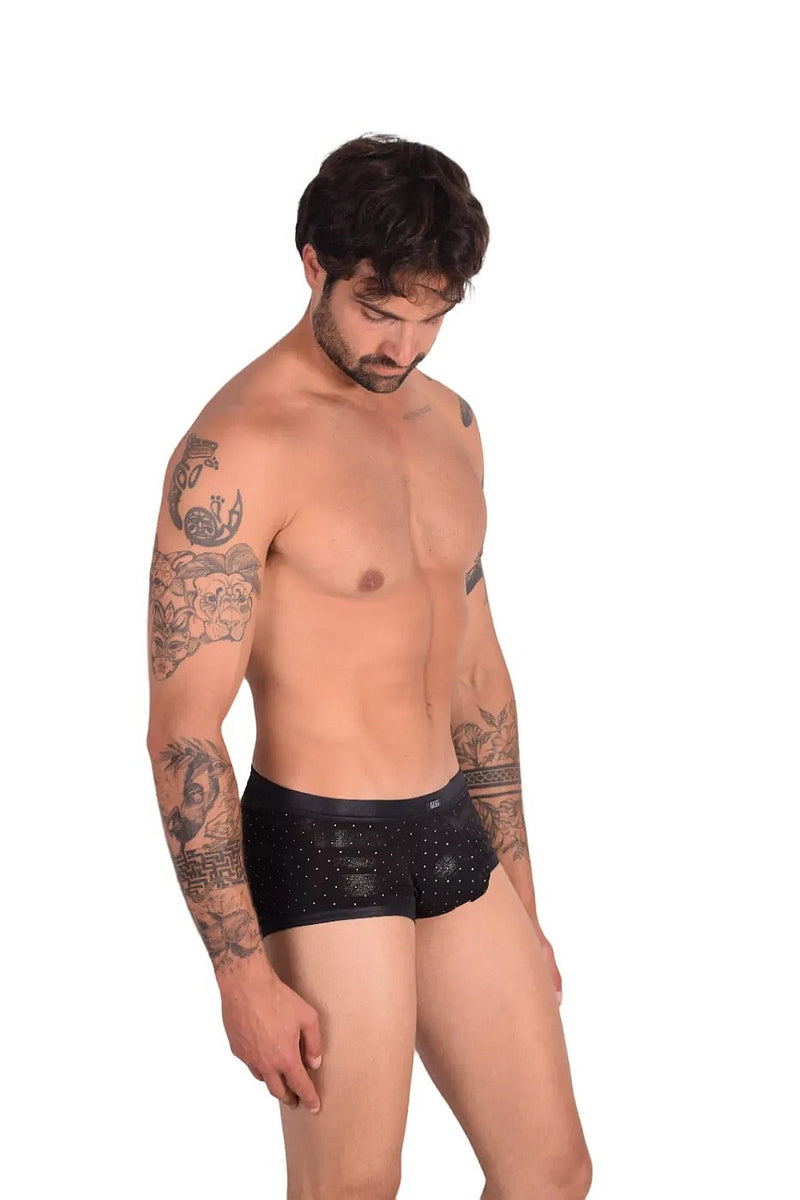 Gregg Homme Adonis Boxer Briefs 1100 11-36