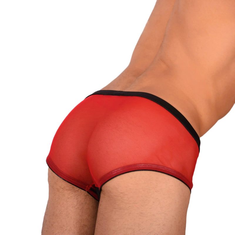 Medium Gregg Homme Red Sheer brief and Black front deco 3044 C22