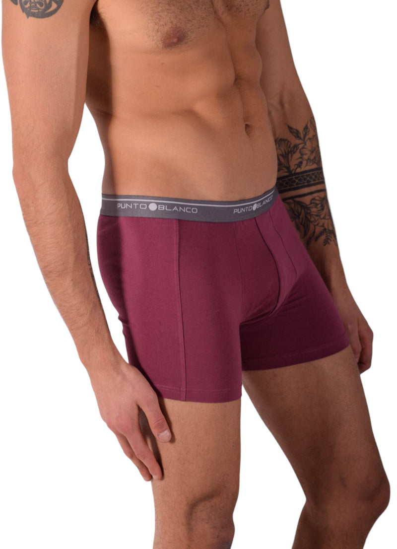 Small Punto Blanco Basics Short Boxer Burgundy 53438 Pu193