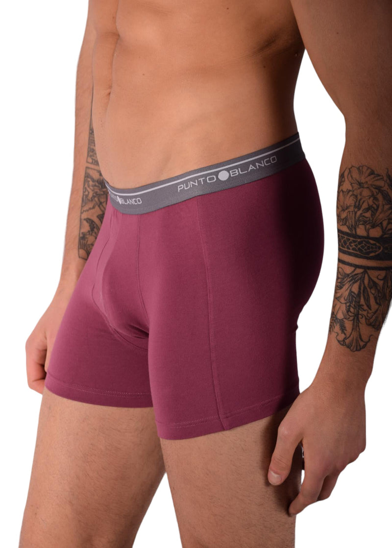 Small Punto Blanco Basics Short Boxer Burgundy 53438 Pu191