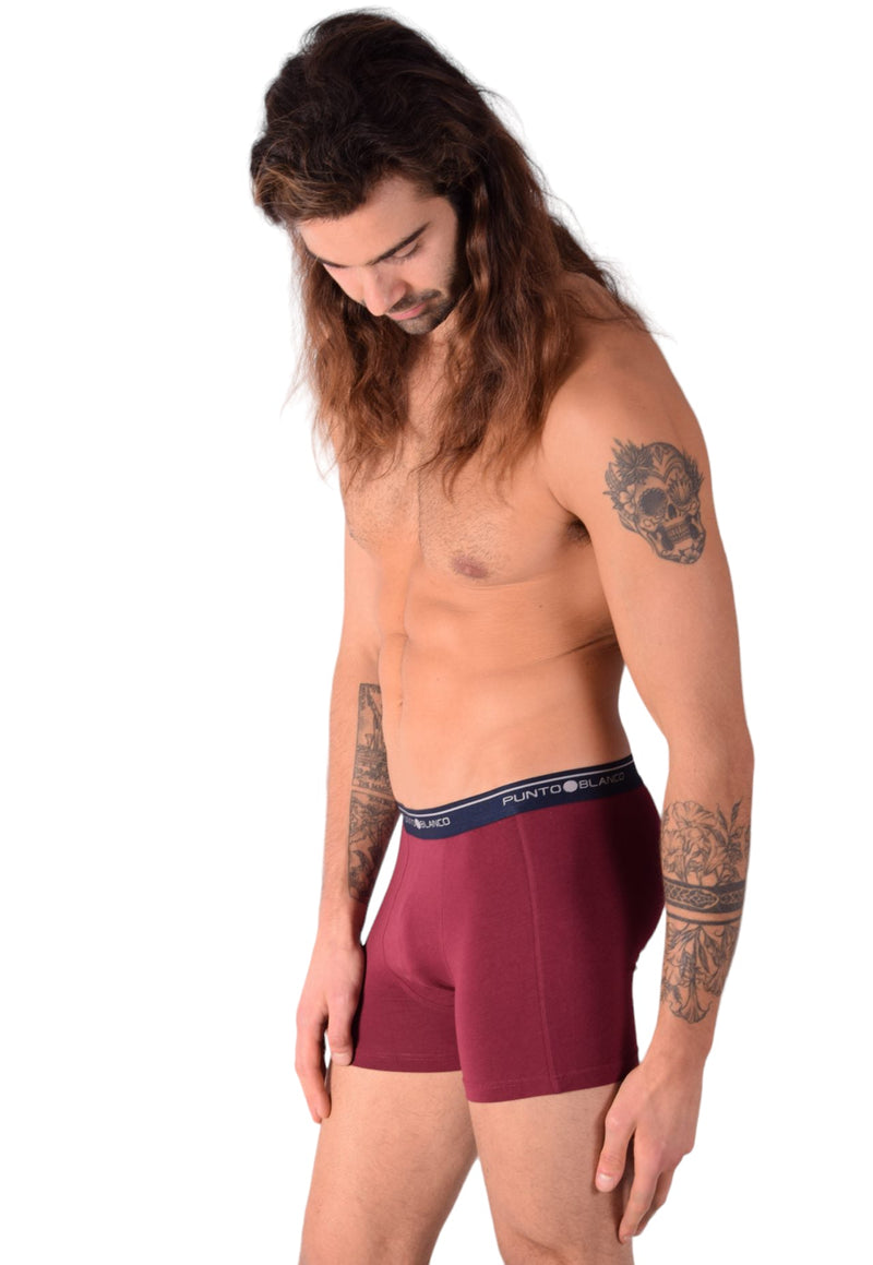 Small Punto Blanco Basics Short Boxer Burgundy 53438 Pu36