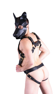 SMU Leather Shop Kit Harness  Jockstrap Gold Ring  Snap 31-36 in