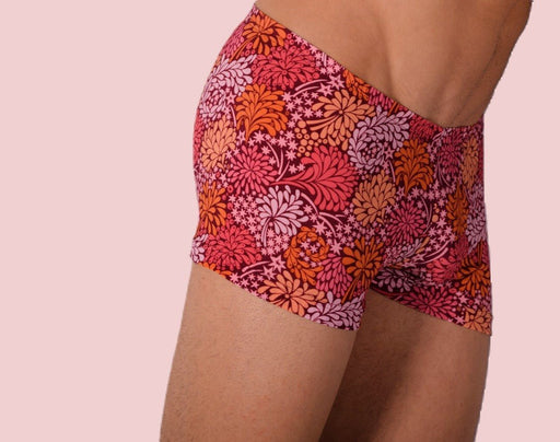 XS/S SMU Mens Hipster Underwear Hearts 43102 MX121