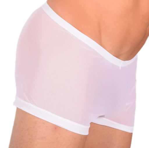 XXS/XS Mini Boxer C - Thru White 33555 MX131