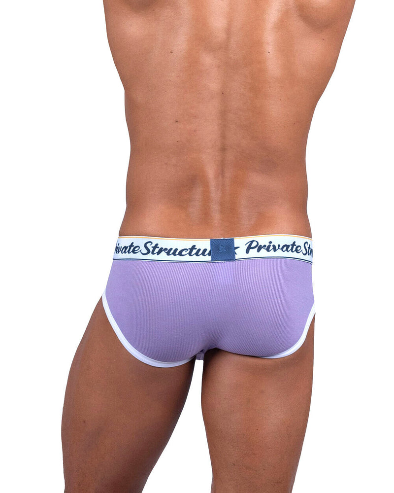 PRIVATE STRUCTURE Briefs Classic Mid-Waist Mini Brief in Viola Purple 4529