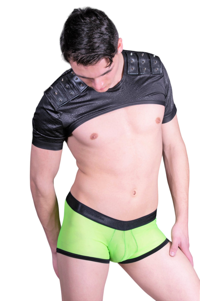 3G Micro Mesh Daring Boxer Brief C-Through fabric 2748 lime -2 - SexyMenUnderwear.com