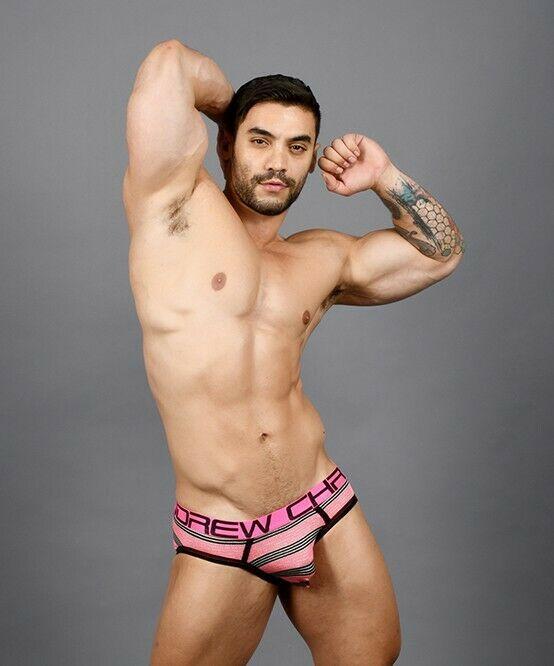 Andrew Christian Brief Ultra Stripe Briefs Chic Slip Black / Pink 91364 42 - SexyMenUnderwear.com
