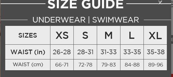 Andrew Christian Briefs Massive Stud Mesh Brief Slimming Waistband 92561 - SexyMenUnderwear.com