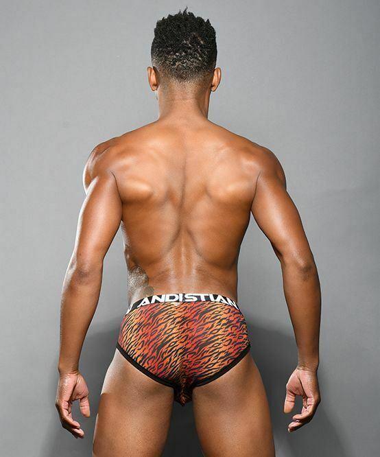 Andrew Christian Tiger Brief Sheer Mesh Brief Nature 92090 53 - SexyMenUnderwear.com