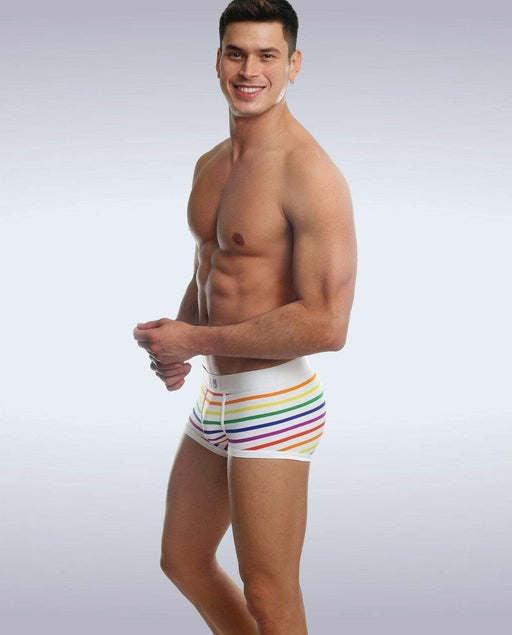 Garcon Model Boxer Trunk Chelsea Gay Pride Underwear Rainbow 2 - SexyMenUnderwear.com